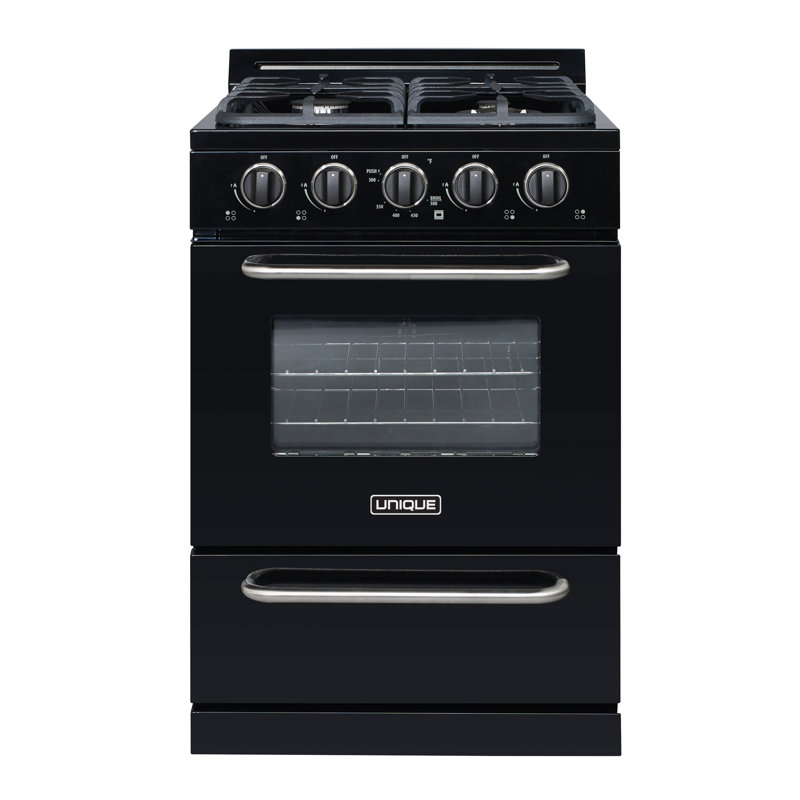 Unique Propane OffGrid 24" 3.1 cu ft. Freestanding Gas Range Wayfair